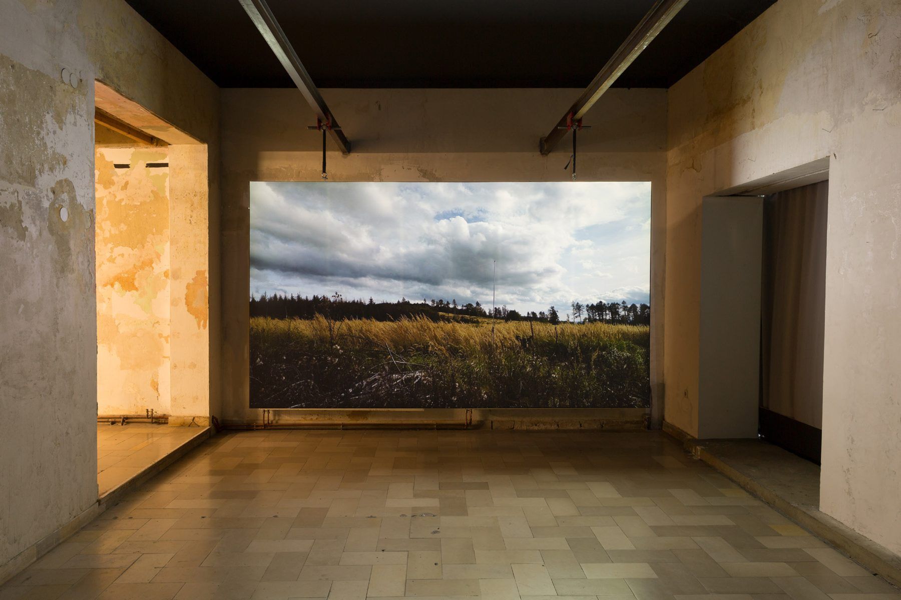 Installation view: projection of a grassland with an antenna rod